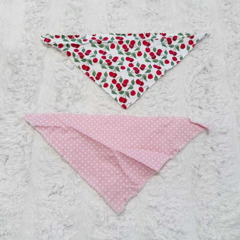 Set of 2 pet bandanas 💕